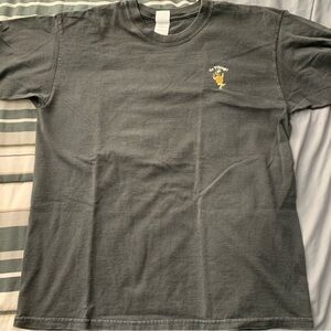 Vintage Men’s Cheerful Tortoise “Go Vikings” t-shirt